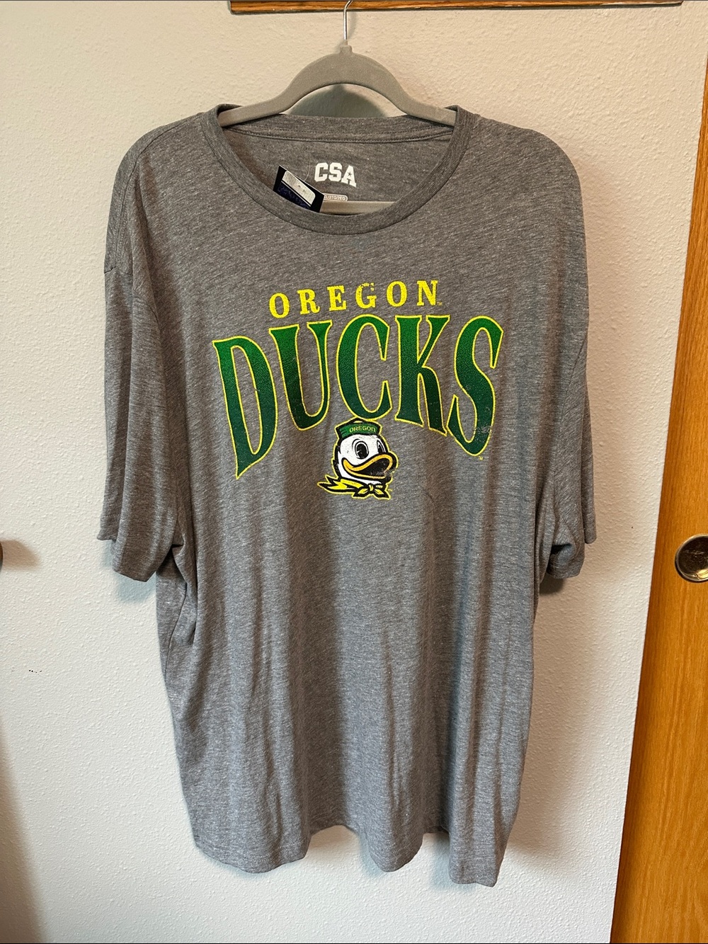 Oregon Ducks Gray Graphic T-Shirt